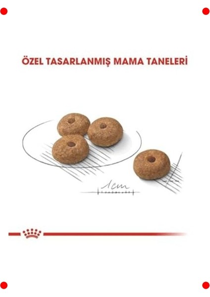 Küçük Irk Kısırlaştırılmış Köpek Maması 3 kg modelleri