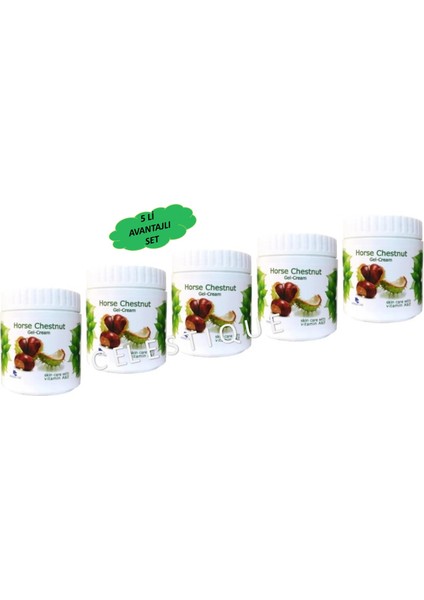 At Kestanesi Kremi 500 ml Horse Chestnut Gel 5 Adet fiyatları