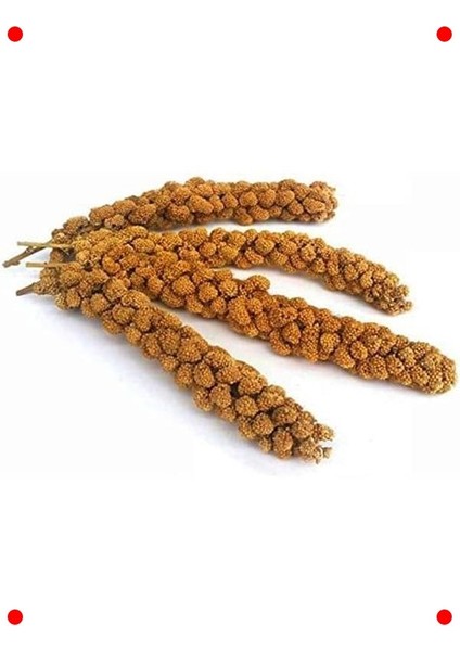 Kuşlar Için Doğal Dal Darı Ödülü 5'li Paket fiyatları