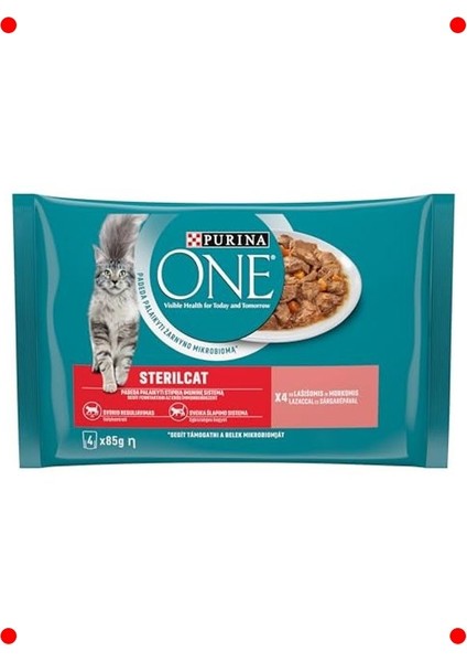 Kısır Kedi Somonlu Yaş Mama 85GR (4 Adet)