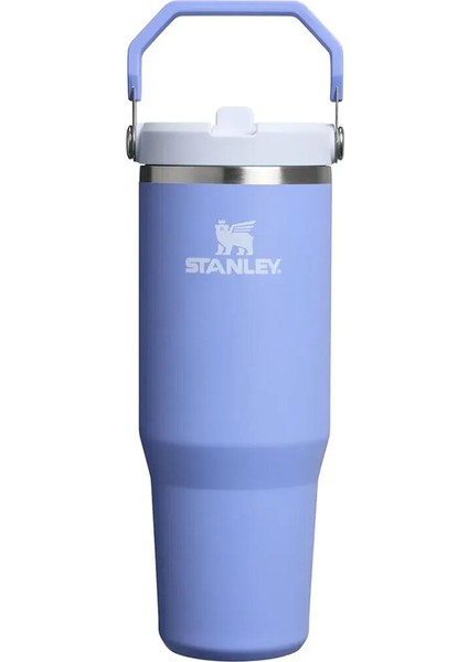 Iceflow Termos Plum 0,89L fiyatları