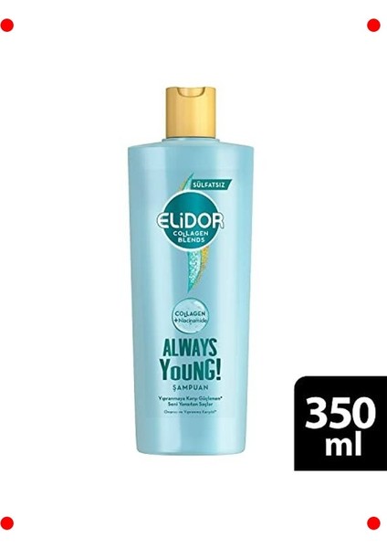 Sülfatsız Onarıcı Şampuan (Yıpranma Karşıtı) 350 ml fiyatları