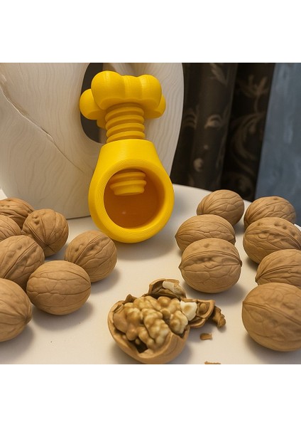 Ceviz ve Fındık Kıracağı