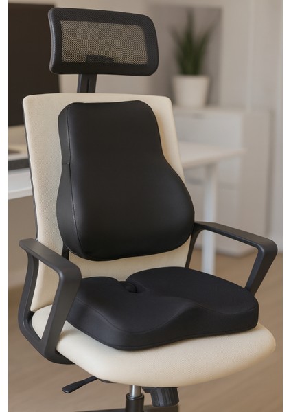 Ofiste ve Arabada Maksimum Konfor Için Visco Destek Bel ve Oturma Minderi fiyatları