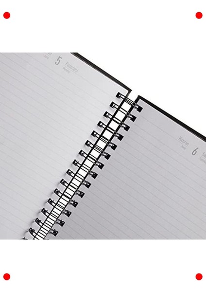 Süper Kahraman Ajanda Siyah 2023 Sınırlı Üretim modelleri