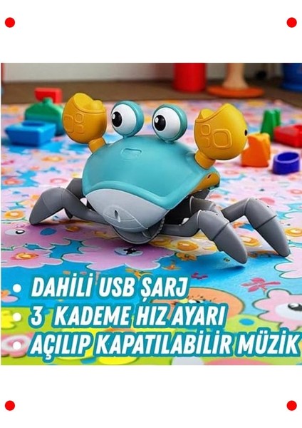 Müzikli Sensörlü Emekleme Yardımcı Yengeç Oyuncak (Mavi) fiyatları