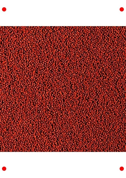 Betta Balıkları Için Özel Granül Yem 10 gr fiyatları