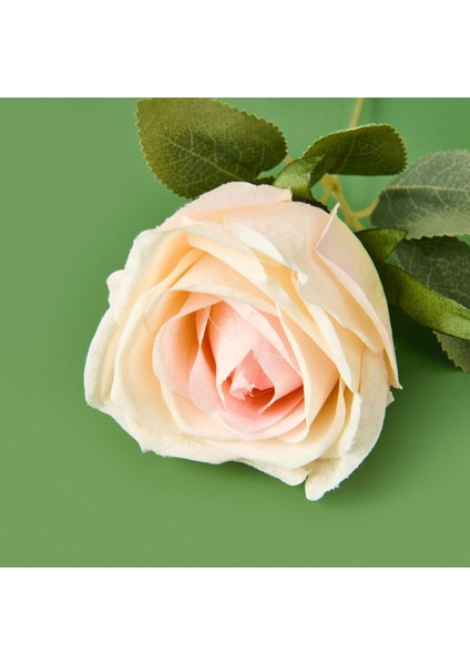 Time Dal Gül - Asorti - 30 cm modelleri