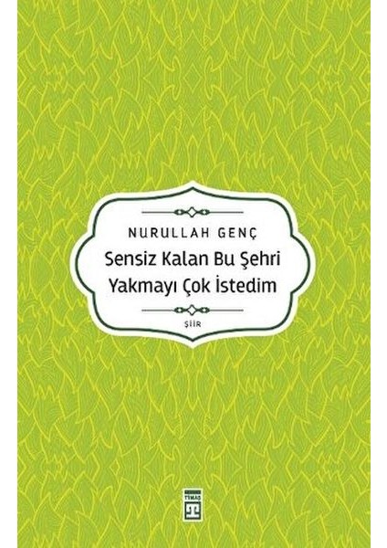 Sensiz Kalan Bu Şehri Yakmayı Çok Istedim