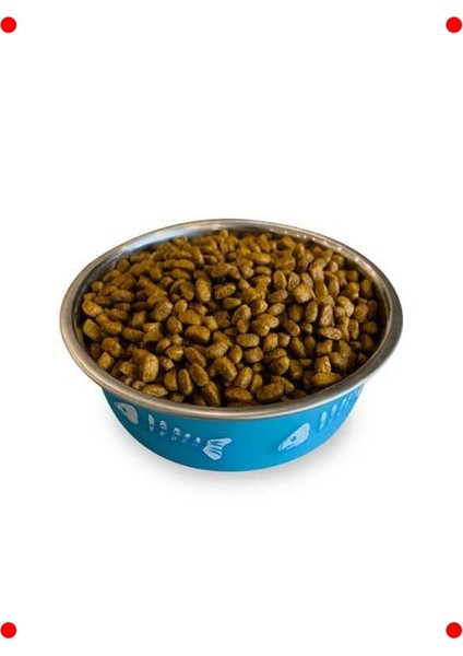 Kısırlaştırılmış Kedi Için Somonlu Mama 2 kg fırsatları