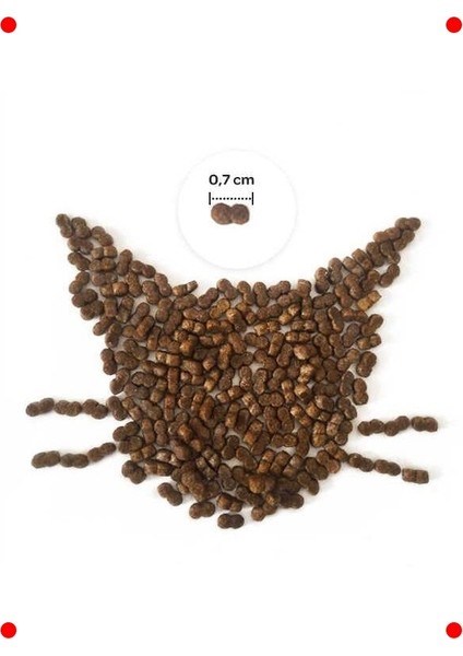 Kısırlaştırılmış Kedi Için Somonlu Mama 2 kg indirimleri