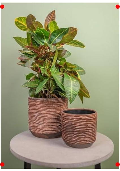 Zarif Siyah Seramik Bitki Saksısı 19X17 cm fiyatları