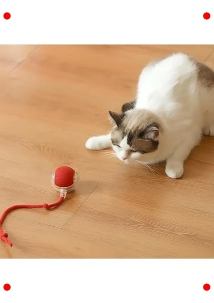 Akıllı LED Işıklı Evcil Hayvan Fare Oyuncağı modelleri