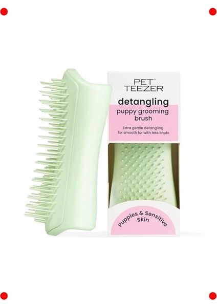 Küçük Köpekler Için Tüy Bakım Fırçası - Yeşil
