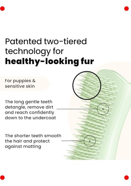Küçük Köpekler Için Tüy Bakım Fırçası - Yeşil fiyatları