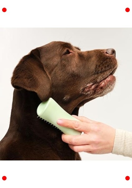 Küçük Köpekler Için Tüy Bakım Fırçası - Yeşil modelleri