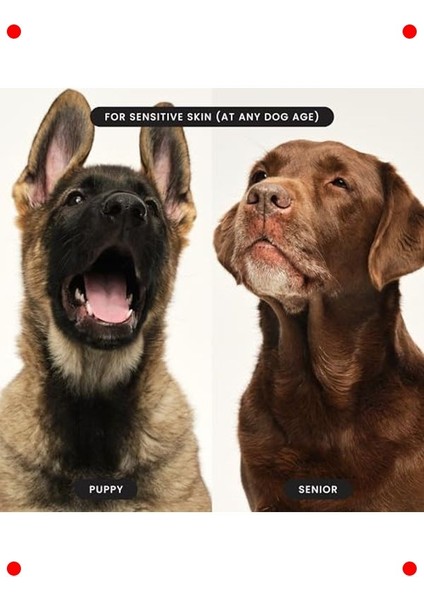 Küçük Köpekler Için Tüy Bakım Fırçası - Yeşil indirimleri