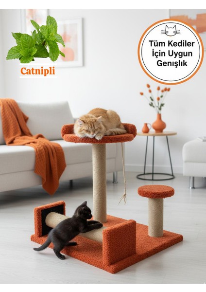 Catnipli Kolay Kedi Tırmalama Tahtası ve Geniş Oyun Alanı | Yuvarlak Konforlu Yatak | Tüm Kediler Için Uygun Genişlik | Dayanıklı Malzeme | Yavru ve Yetişkin Kediler Için Eğlenceli ve Rahat Tasarım