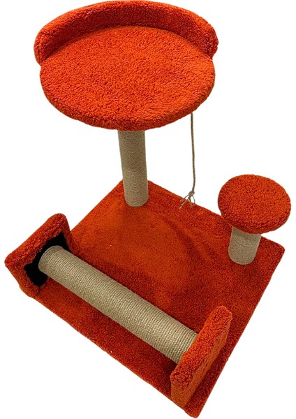 Catnipli Kolay Kedi Tırmalama Tahtası ve Geniş Oyun Alanı | Yuvarlak Konforlu Yatak | Tüm Kediler Için Uygun Genişlik | Dayanıklı Malzeme | Yavru ve Yetişkin Kediler Için Eğlenceli ve Rahat Tasarım indirimleri