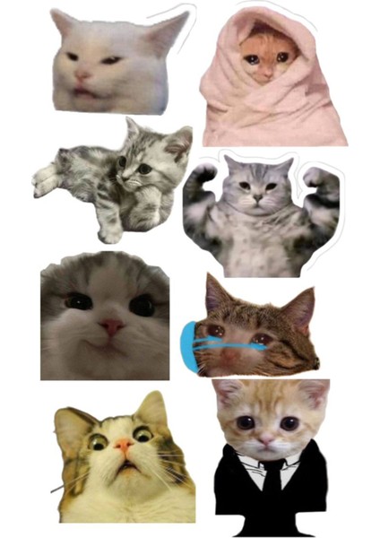 Kedi Telefon Laptop Notebook Tablet Defter Matara Stiker Etiket ST2048