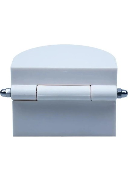 ( 25 Adet ) Insan Diş Anatomisi Diş Modeli Eğitici Maket Fen ve Biyoloji Dersleri Diş Maketi