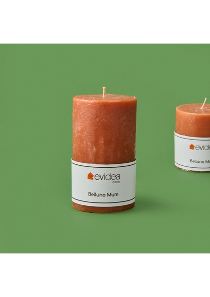 Deco Belluno Mum - Somon - 12 cm fiyatları