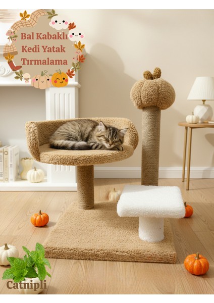 Bal Kabaklı 🎃 Peluş Kedi Yatağı ve Tırmalama Tahtası | Sonbahar Soft Renklerde Şık Tasarım | Yumuşacık Dinlenme Alanı | Kediler Için Konforlu, Dekoratif ve Dayanıklı Peluş Taht Modeli
