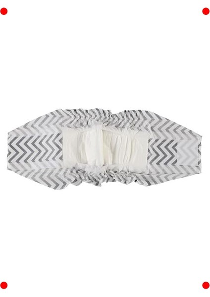 Erkek Köpekler Için Koruyucu Külot (Xl) - 12 Adet fırsatları