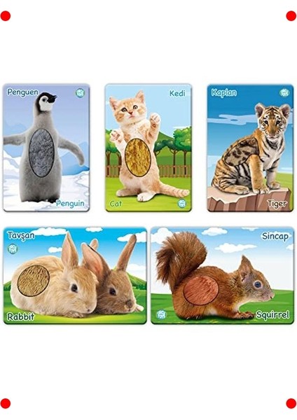 Dokun Hisset Yavru Hayvanlar Temalı Kumaş Kitap fırsatları