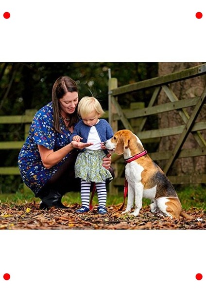 Köpek Eğitim Tasması - Orta Boy Siyah indirimleri