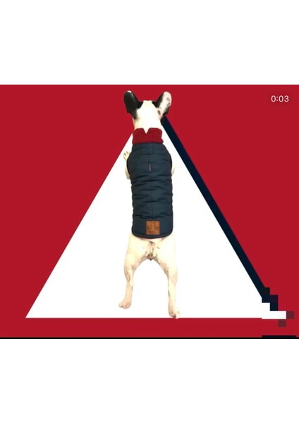 NOVABLAF Polar Astarlı Lacivert Köpek Montu fırsatları