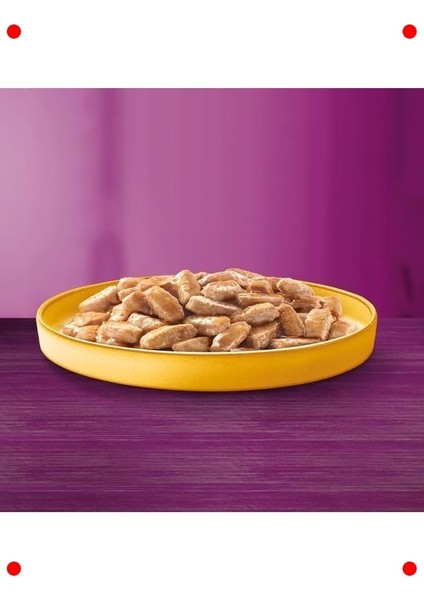 Tavuklu Yetişkin Kedi Konserve Yaş Mama (24 x 400G) modelleri
