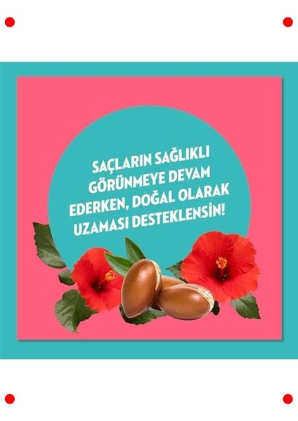 Argan & Hibiskus Dökülme Karşıtı Şampuan (400ML) indirimleri
