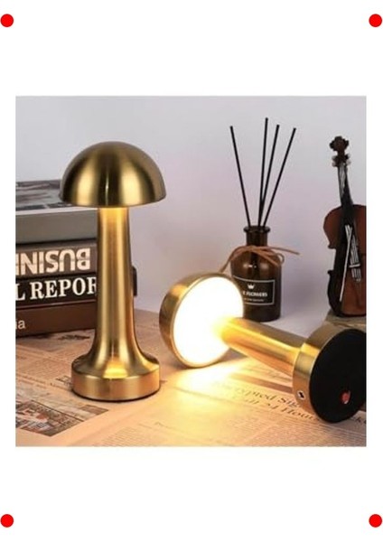 Şarjlı Dekoratif Masa Lambası, 3 Renk, Dimmerli modelleri