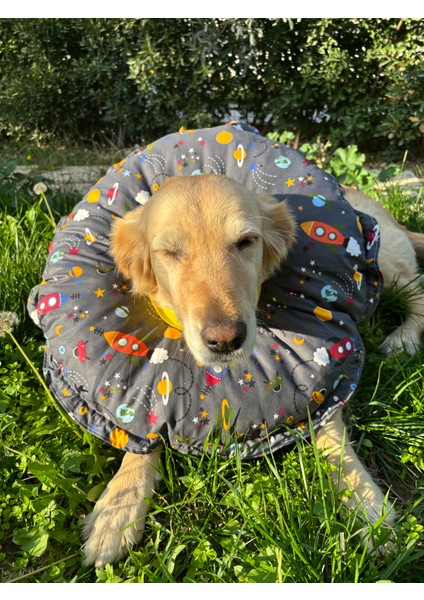 Köpek Boyunluk-Elizabeth Yakalık Operasyon Boyunluk-Kedi Boyun Yastığı Standart Beden Xxl