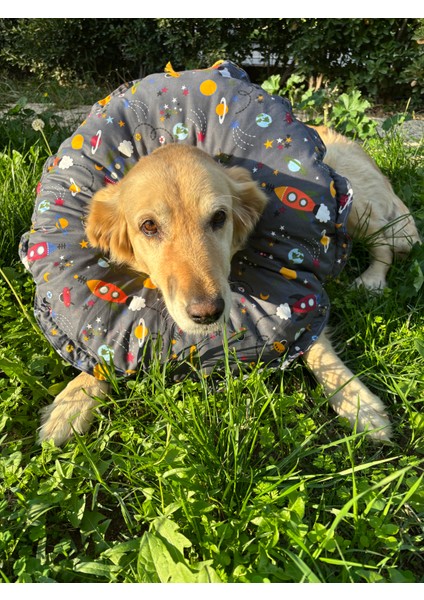 Köpek Boyunluk-Elizabeth Yakalık Operasyon Boyunluk-Kedi Boyun Yastığı Standart Beden Xxl fiyatları