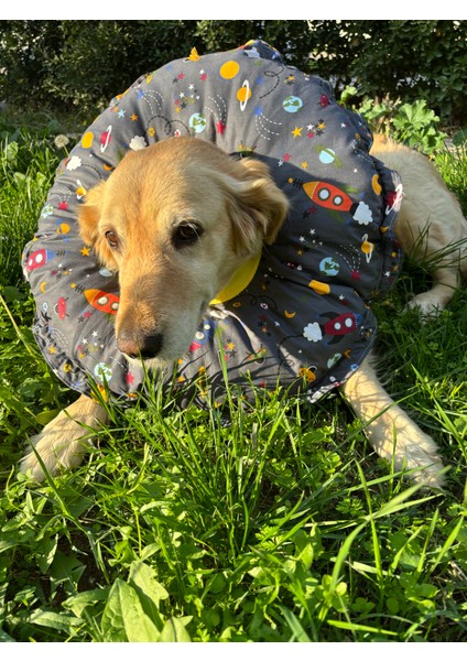 Köpek Boyunluk-Elizabeth Yakalık Operasyon Boyunluk-Kedi Boyun Yastığı Standart Beden Xxl modelleri