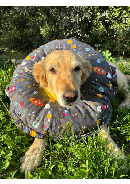 Köpek Boyunluk-Elizabeth Yakalık Operasyon Boyunluk-Kedi Boyun Yastığı Standart Beden Xxl fırsatları