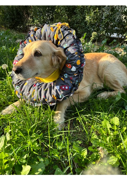 Köpek Boyunluk-Elizabeth Yakalık Operasyon Boyunluk-Kedi Boyun Yastığı Standart Beden Xxl indirimleri