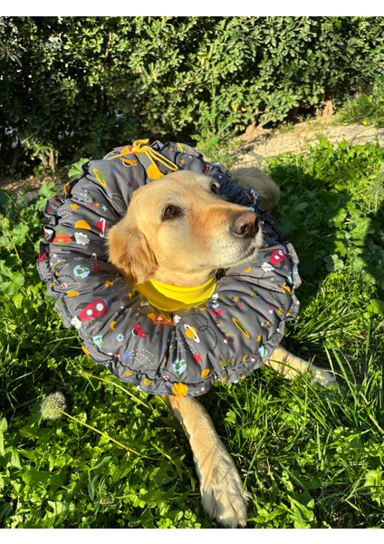 Köpek Boyunluk-Elizabeth Yakalık Operasyon Boyunluk-Kedi Boyun Yastığı Standart Beden Xxl