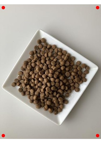 Küçük Irk Yetişkin Köpek Maması Kuzulu & Yaban Mersinli 2.5 kg fiyatları