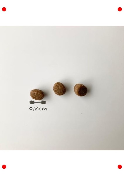 Küçük Irk Yetişkin Köpek Maması Kuzulu & Yaban Mersinli 2.5 kg modelleri