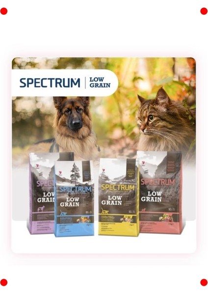 Küçük Irk Yetişkin Köpek Maması Kuzulu & Yaban Mersinli 2.5 kg fırsatları