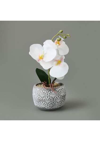 Etnik Desenli Beton Saksı Real Touch Orkide - Asorti - 28X12X12 cm