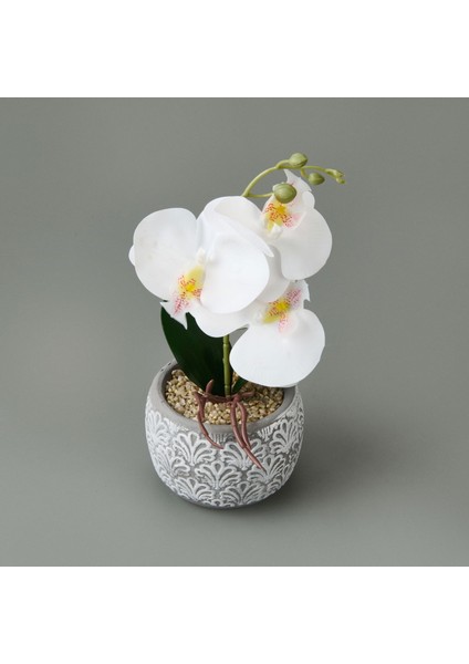 Etnik Desenli Beton Saksı Real Touch Orkide - Asorti - 28X12X12 cm modelleri