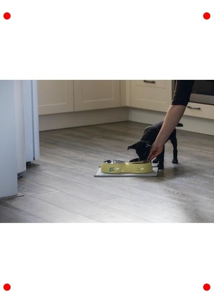 Paslanmaz Çelik Ikili Köpek Mama Su Kabı 2X350ML fiyatları