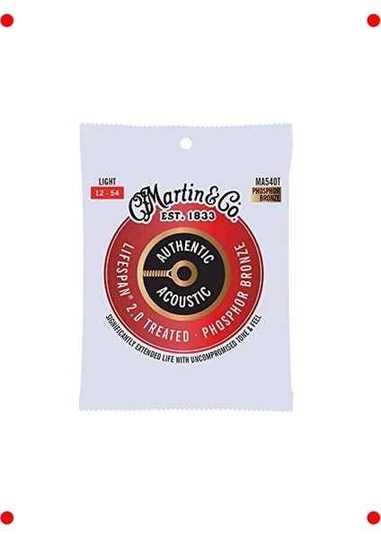 Otantik Işlemeli Hafif Akustik Gitar Teli (92/8)