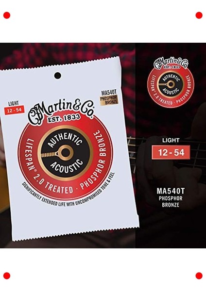 Otantik Işlemeli Hafif Akustik Gitar Teli (92/8) fırsatları