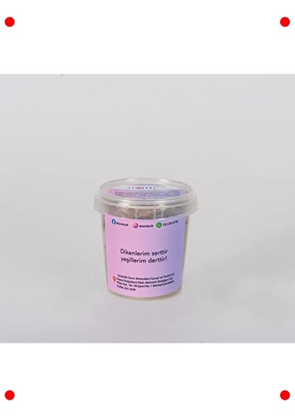 Kirpi Figürlü Çim Adam fiyatları