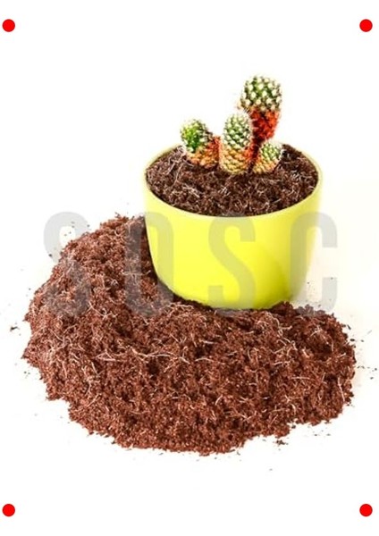 Doğal Hindistan Cevizi Torfu – Bitki Toprağı 5 Litre